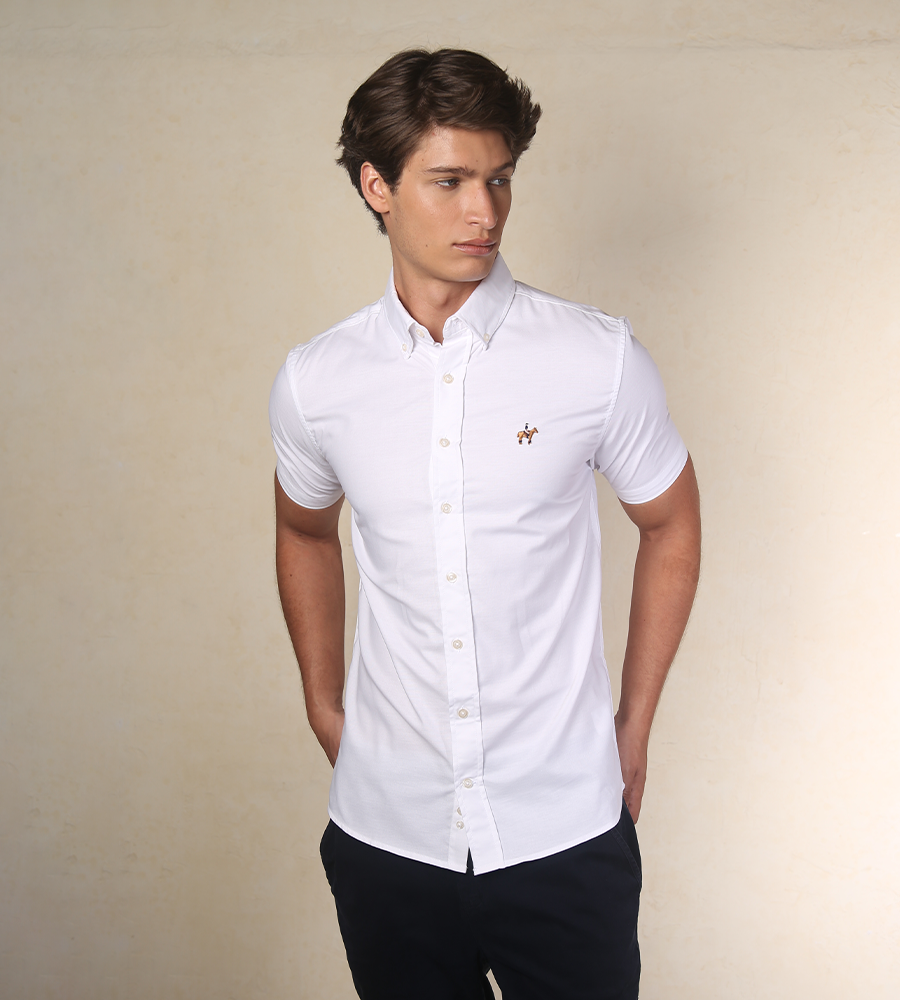 Camisas De Vestir Marca Polo Tipo Polo Club Camiseta Marca Polo Hombre  Camisa Fondo Entero, image size:900x1000